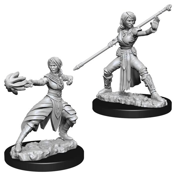 Figurines jeu de rôle - D&D Nolzur's  - Female Half-Elf Monk
