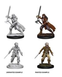 Figurines jeu de rôle Nolzur's Vampire Hunters