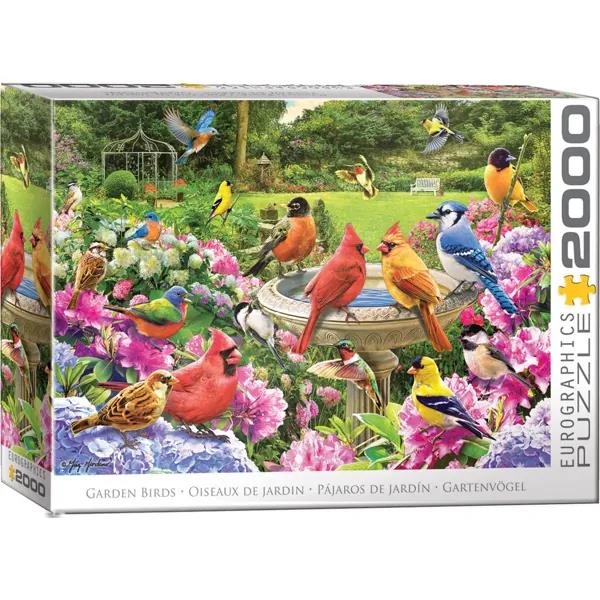 Puzzle 2000 pièces Oiseaux de jardin