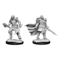 Figurines jeu de rôle - D&D Nolzur's -Dragonborn Fighter Female