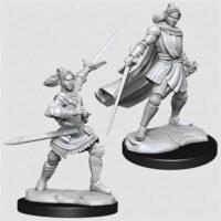 Figurines jeu de rôle Critical Role Half-Elf Paladin Xhorhas Female