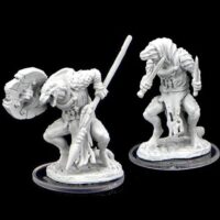 Figurines jeu de rôle - Critical Role- Kuul'tevir Javelineer