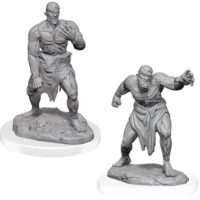Figurines jeu de rôle - D&D Nolzur's  - Flesh Golems