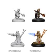 Figurines jeu de rôle - D&D Nolzur's -Female Gnome Wizard