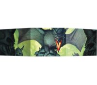 Dragonbane : Ecran