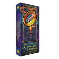 La Communauté de l’Anneau : Jeu de Plis Coopératif