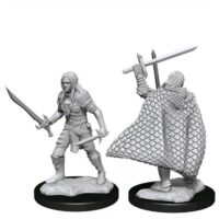Figurine de jeu de role Elf fighter male