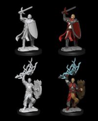 Figurines jeu de rôle - D&D Nolzur's  — Half-Elf Paladin Male