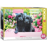 Puzzle 500 pièces black labs in pink box