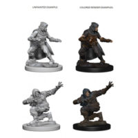 Figurines jeu de rôle Human Male Rogue