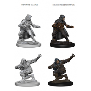 Figurines jeu de rôle Human Male Rogue